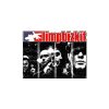 flat750x075f pad750x750f8f8f8 21 - Limp Bizkit Fans