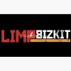flat750x075f pad750x750f8f8f8.u4 18 - Limp Bizkit Fans
